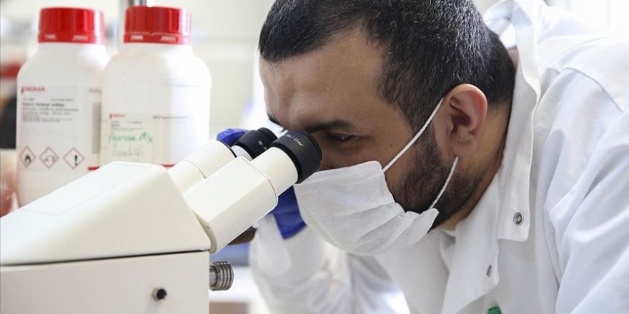 Kansere karşı savaşma kabiliyetini yitirmemiş yeni hücre keşfedildi