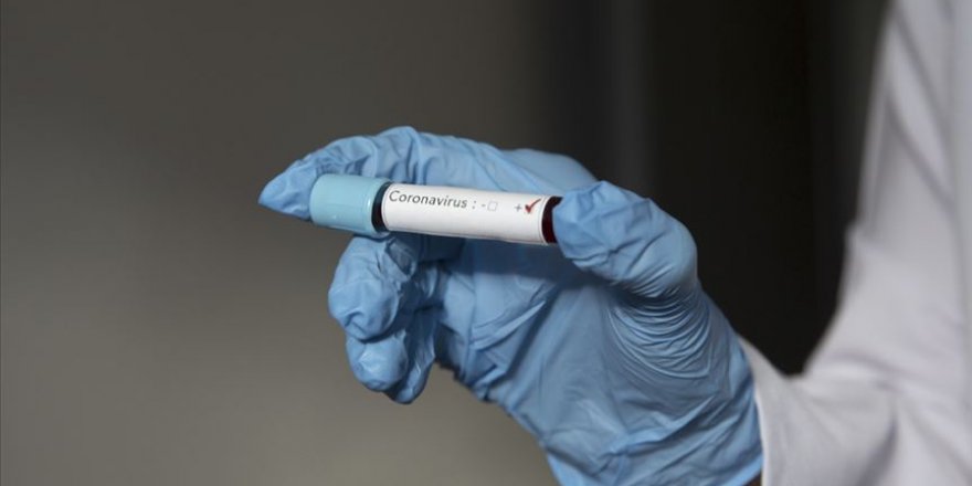 Araştırmacılar, bir hastada iki farklı Koronavirüs türü tespit ettiler