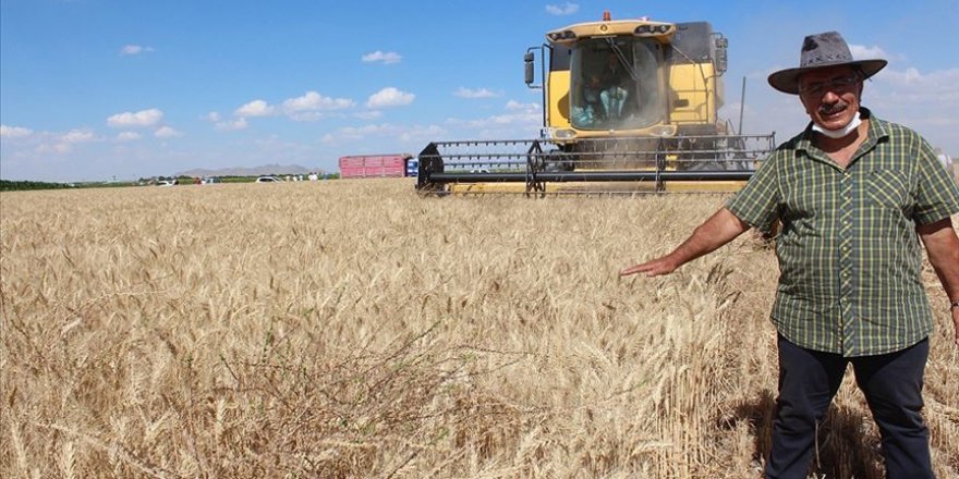 Yerli buğday tanıtıldı