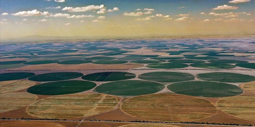Konya'nın devasa tarlaları muhteşem görüntüler oluşturuyor