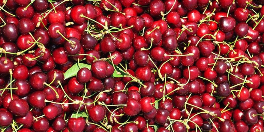Dünya pazarlarında ilgi gören ürünlerde markalaşma talebi