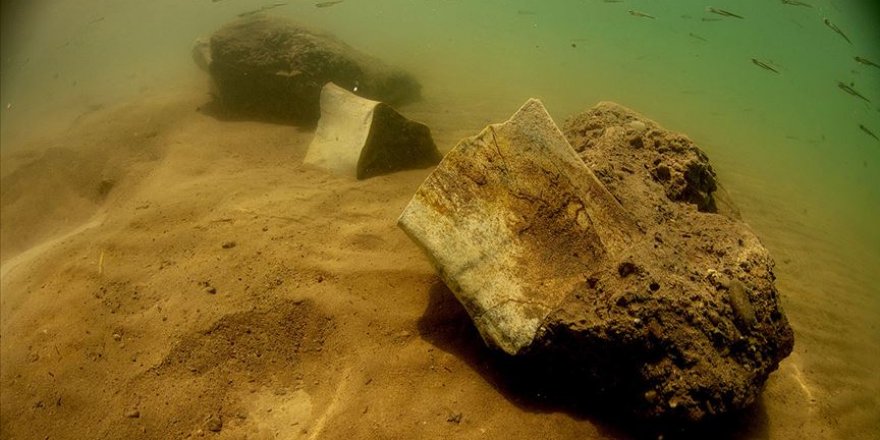 7,5 milyon yıllık Fillerin atasının fosil parçaları bulundu