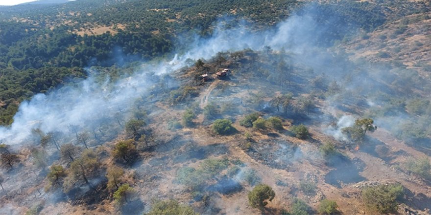 Gaziantep'te ormanlık alanda yangın çıktı