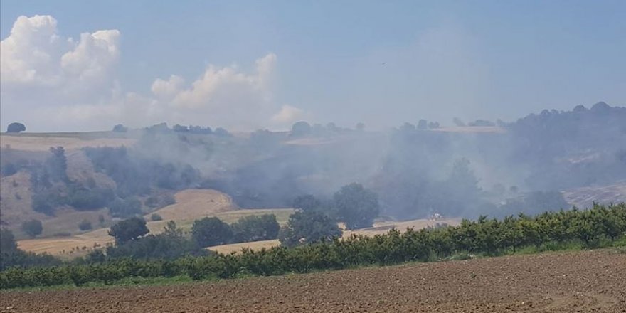 Çanakkale’de ormanlık alanda yangın çıktı