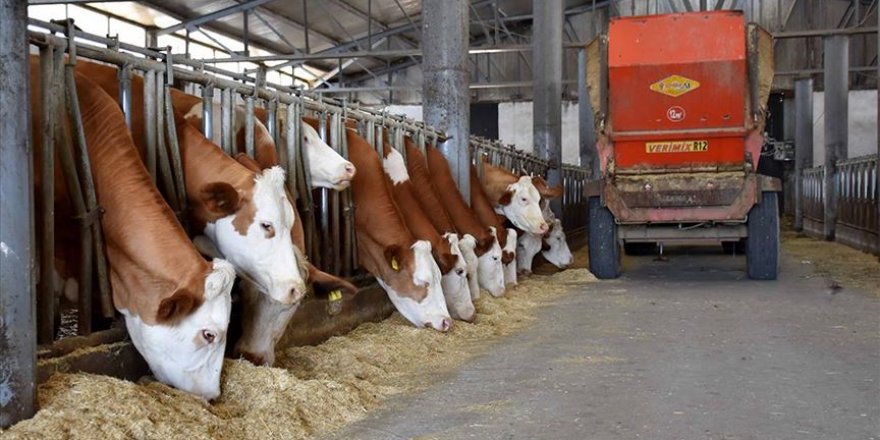 Kırsal kalkınma için 34 projeye 35 milyon lira hibe sağlanacak