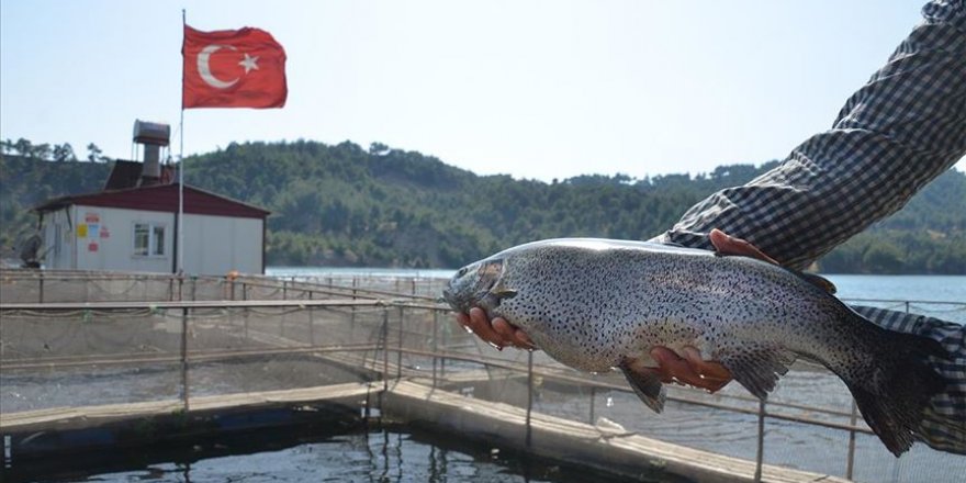 Denizsiz kentten 25 milyon dolarlık balık ihracatı