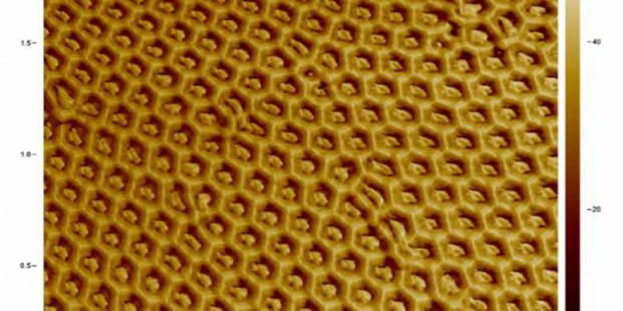 Kilosu 5 bin 700 dolarlık teknoloji ihracatı