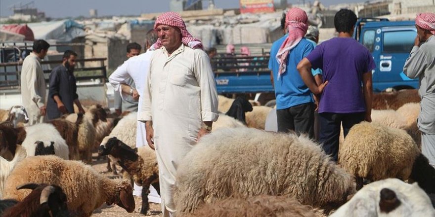 Kurban Bayramı için İdlib'deki kamplardaki siviller yardım bekliyor