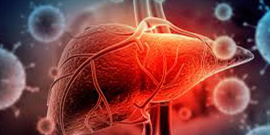 Kendimizi hepatite karşı nasıl koruruz?