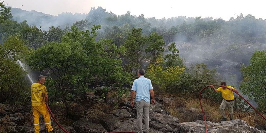 Diyarbakır'da örtü yangını çıktı