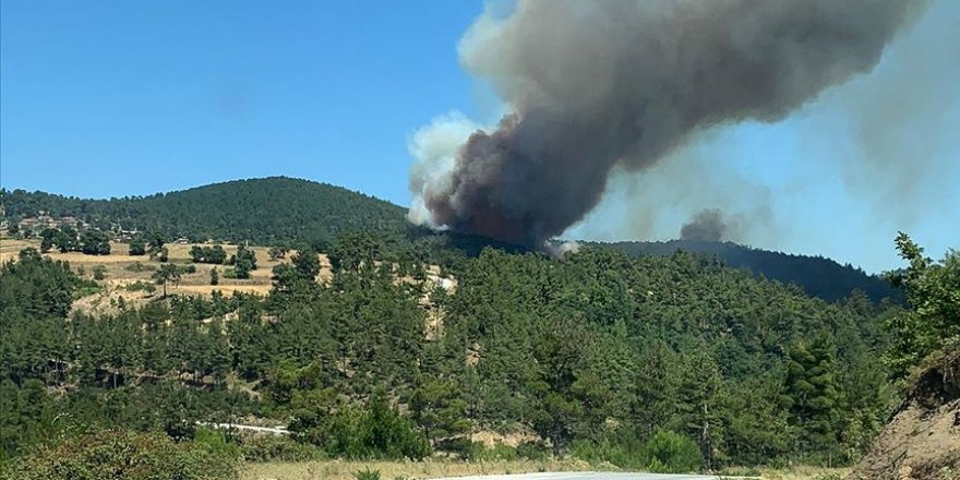12 ilde çıkan 19 orman yangınının 15'i kontrol altına alındı