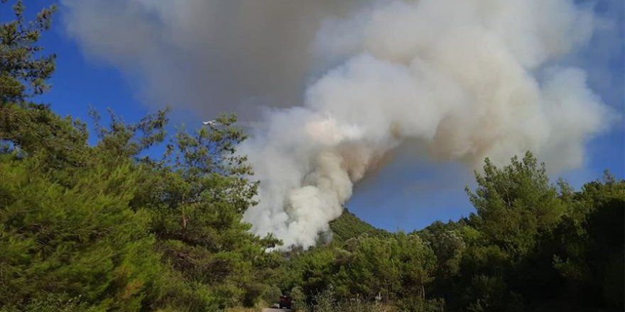 Manisa'da ormanlık alanda yangın çıktı