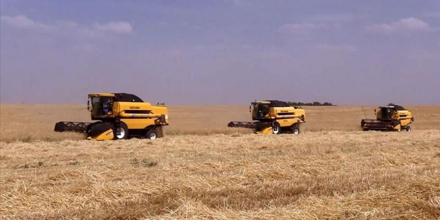 Son 2 yılda ülkemizin tarımsal hasılası 275 milyar liraya çıktı