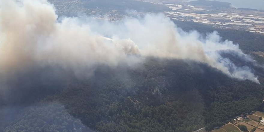 İzmir'de orman yangını çıktı