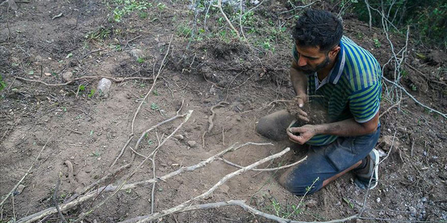 Suriyeli Hasan, İzmir'deki yangını söndürmek için avuçlarıyla toprak taşıdı