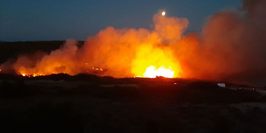 Bozcaada'daki yangında 4 hektar alan hasar gördü