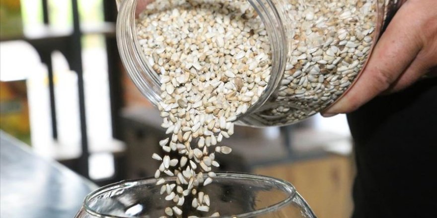 Aspir yağı 7 ülkeye ihraç ediliyor