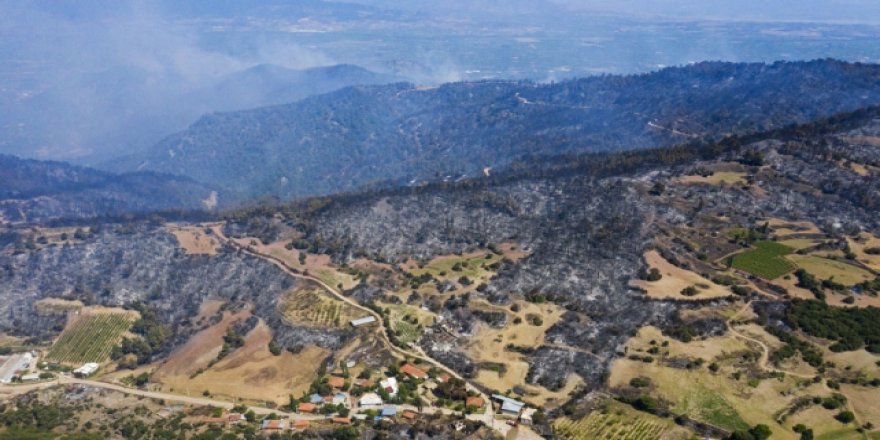 Manisa'da 3 gündür süren orman yangın kontrol altına alındı