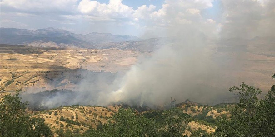 Siirt'te orman yangını çıktı