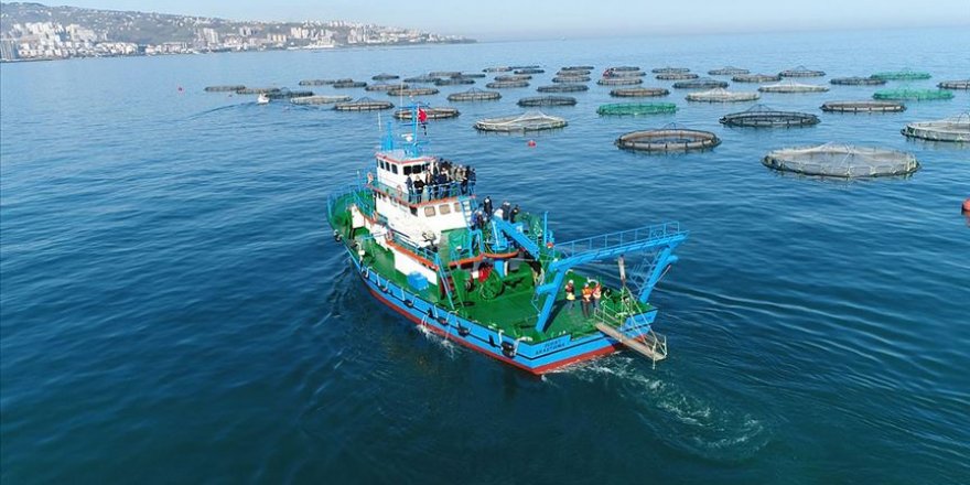 Trabzon Karadeniz'in en çok ihracat gerçekleştiren ili oldu