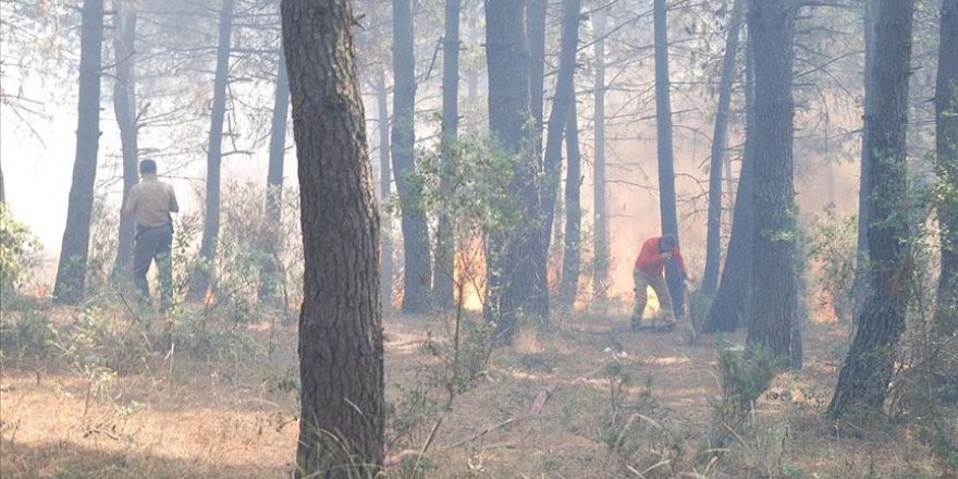 İstanbul'da orman yangını