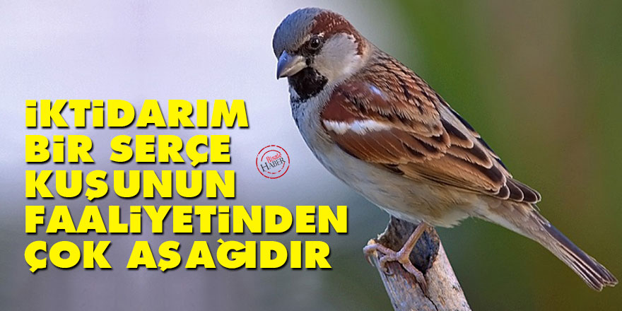 Bediüzzaman: İktidarım, bir serçe kuşunun faaliyetinden çok aşağıdır