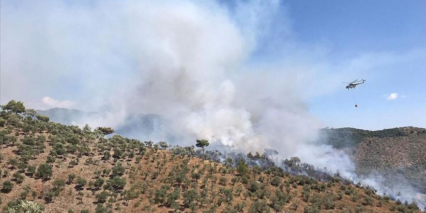 Muğla'da ormanlık alanda yangın çıktı