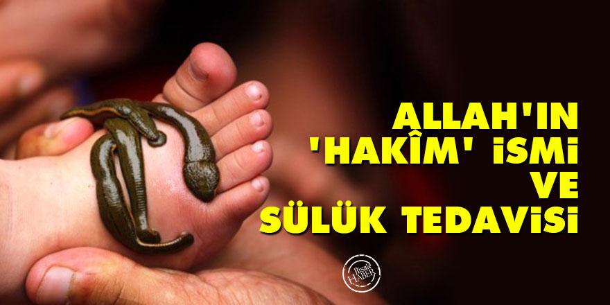 Allah’ın 'Hakîm' ismi ve sülük tedavisi