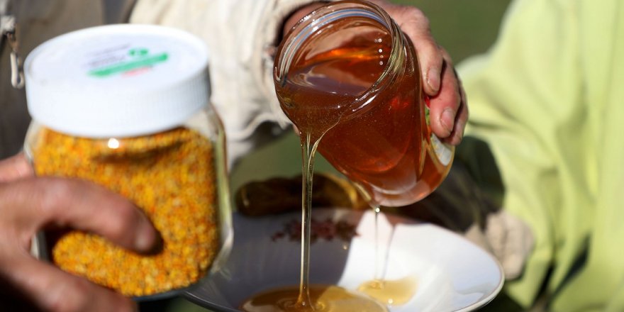 Zengin bitki örtüsüne sahip Anzer Yaylası'nda arıcıların bal mesaisi başladı