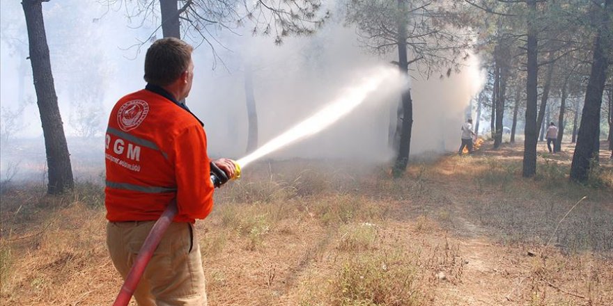 İstanbul'da ormanlık alanda yangın çıktı