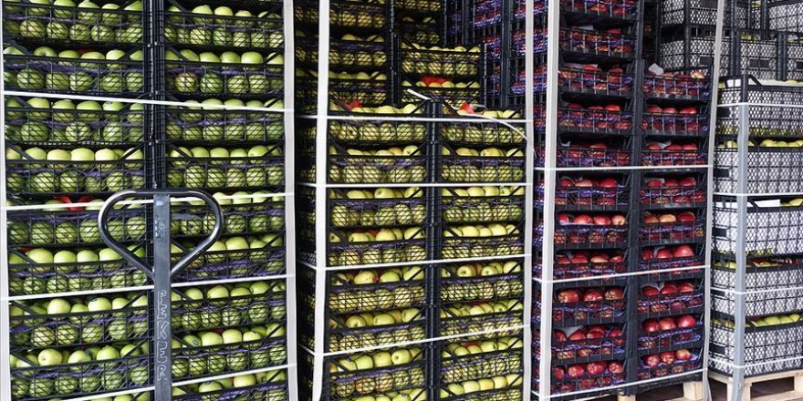 Kovid-19'a rağmen tarım ürünleri ihracatı arttı