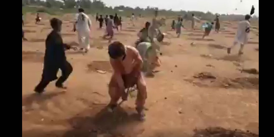 Pakistan'da 6 bin ağaç İslam'a aykırılık nedeniyle sökülmedi