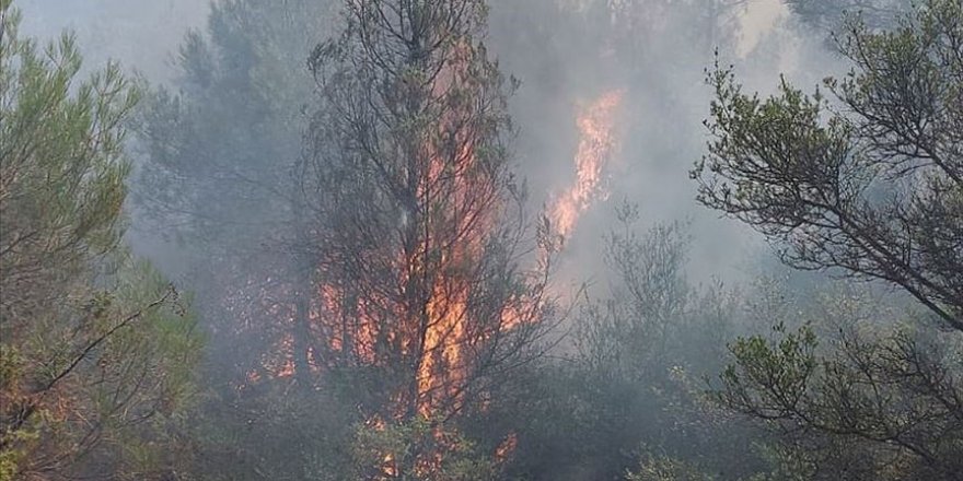 Çanakkale'deki orman yangını kontrol altına alındı