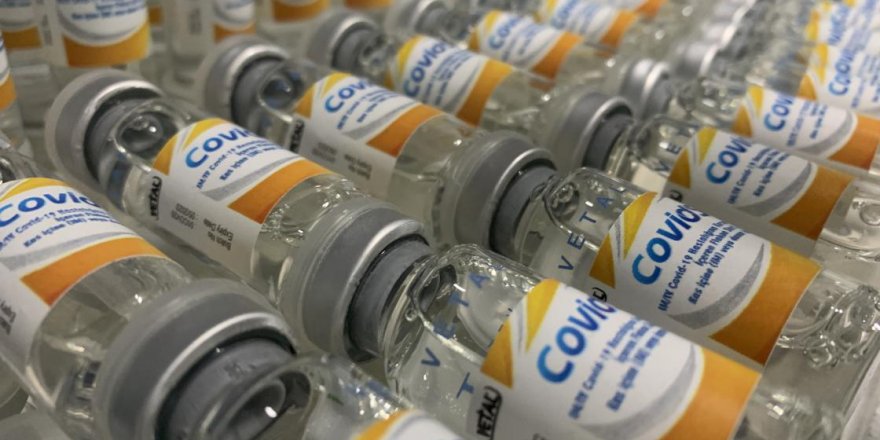 Atlardan elde edilen "Kovidsera" adı verilen antiserum üretiminde büyük aşama kaydedildi