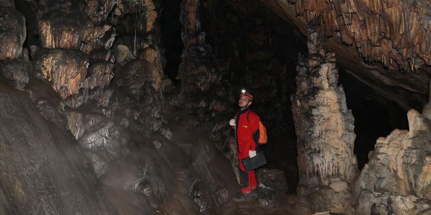 Türkiye'deki mağaralarda bilimsel araştırma yapılacak