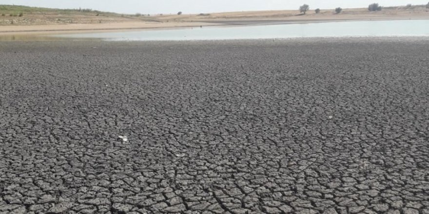 Kurtbey Göleti yok olma riskiyle karşı karşıya
