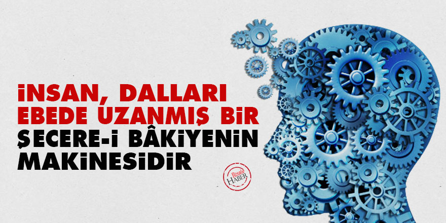 Bediüzzaman: İnsan, dalları ebede uzanmış bir şecere-i bâkiyenin makinesidir