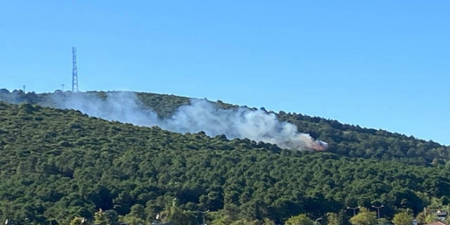 Yıl başından 19 Ağustos'a kadar 1800 yangın meydana geldi