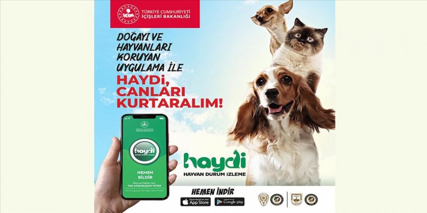 'HAYDİ' uygulaması sayesinde 1649 asıllı ihbara müdahale edildi