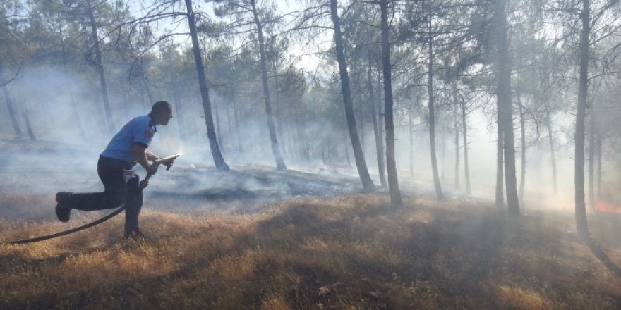 Yangında 1 hektarlık alan kül oldu