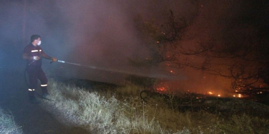 Orman yangınında gönüllülerin 'asılsız ihbar' mesaisi