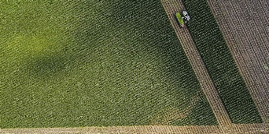 Çiftçiye 16,9 milyar lira destek