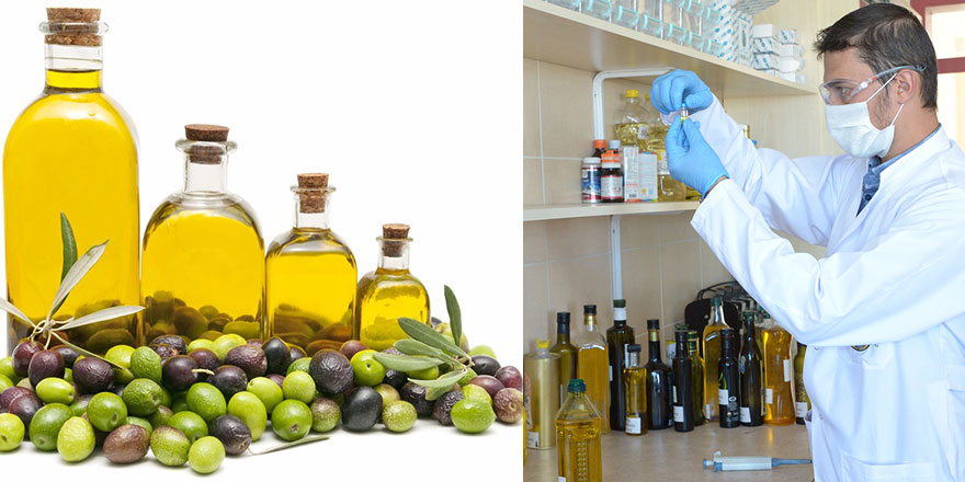 Araştırmalarla ispatlandı: Zeytinyağı, kanser riskini azaltıyor