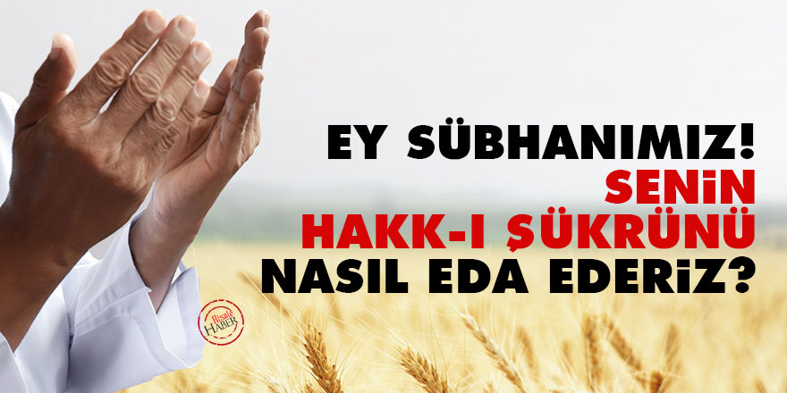 Bediüzzaman: Ey Sübhanımız! Senin hakk-ı şükrünü nasıl eda ederiz?