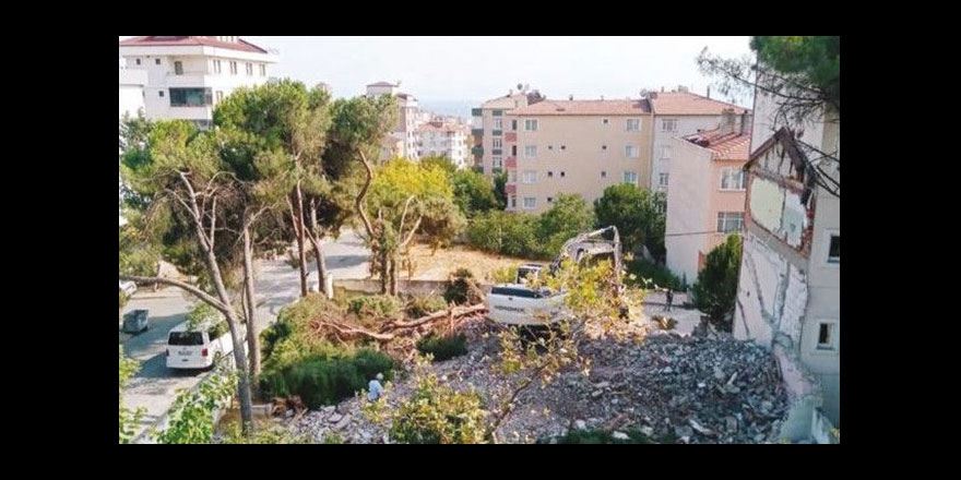 Asırlık ağaçları kesip 'Cezası neyse öderiz' dediler