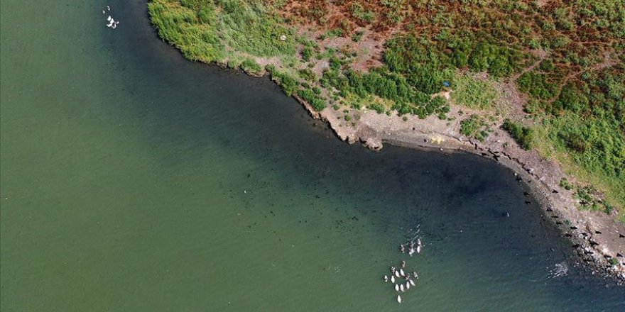 Haliç'te suyun renginde değişiklik oldu