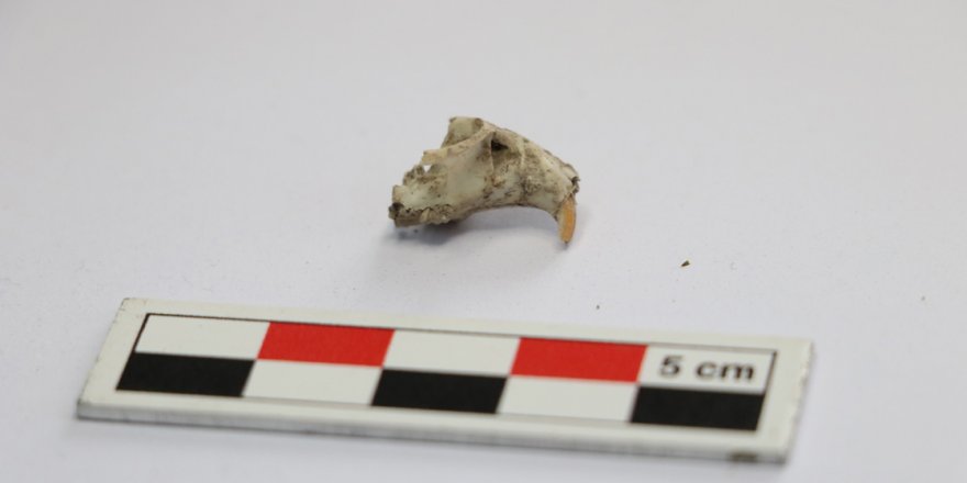 Lidya mutfağında kazılar devam ediyor