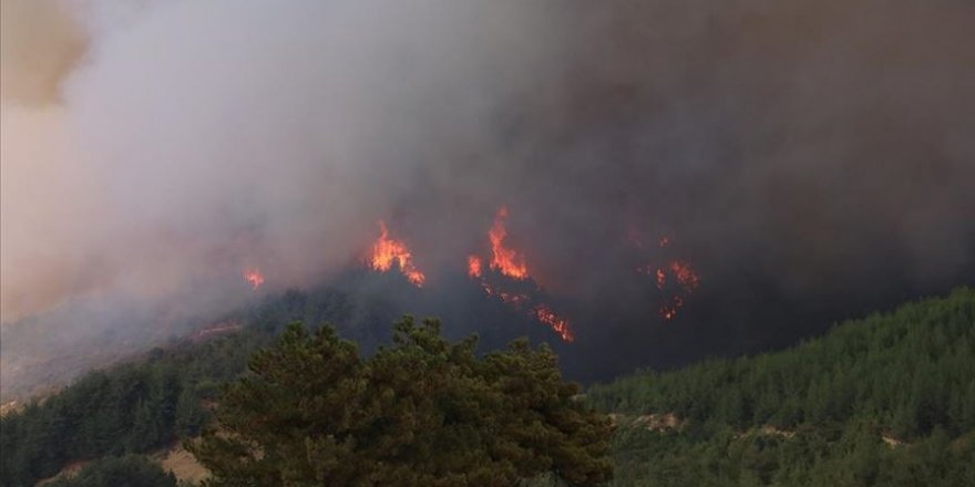 Adana'daki orman yangınında bazı evler boşaltıldı