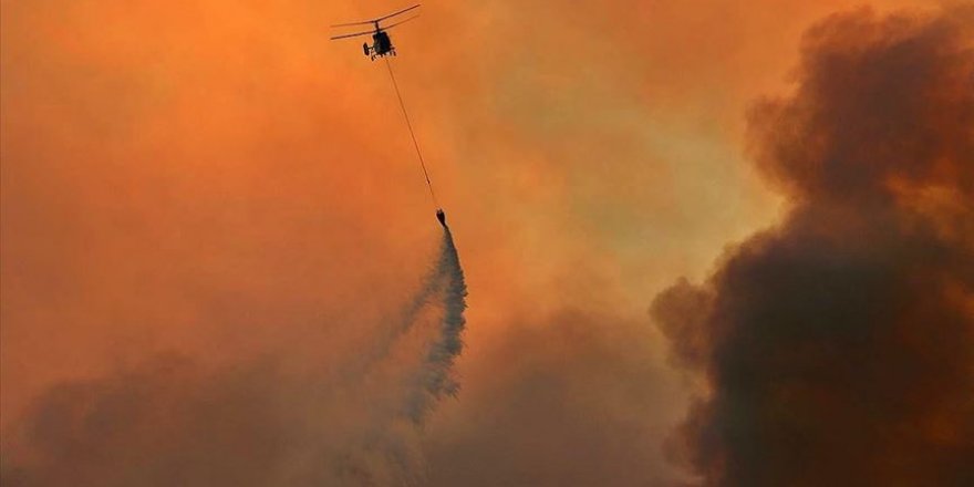 Yangınlarda zarar gören orman alanı bu yıl 2019'u geçti