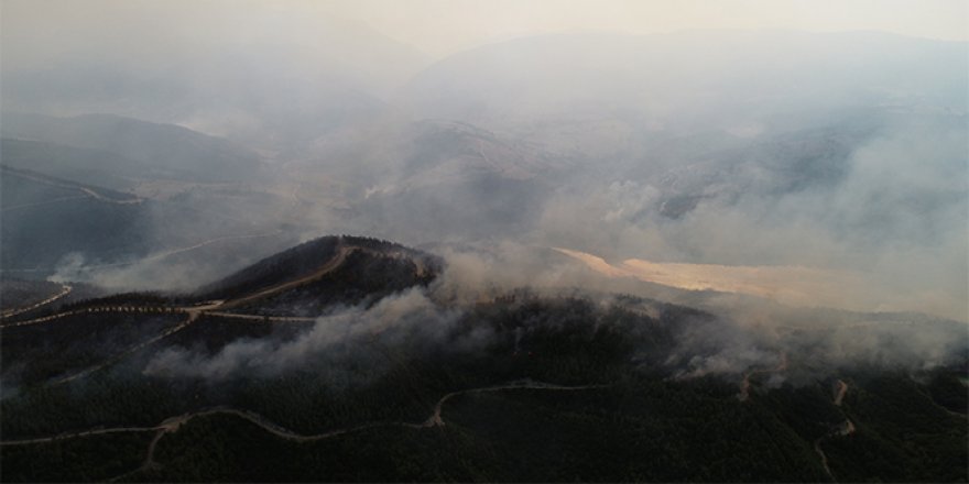 Yüzlerce hektar kızılçam ormanı yanarak kül oldu